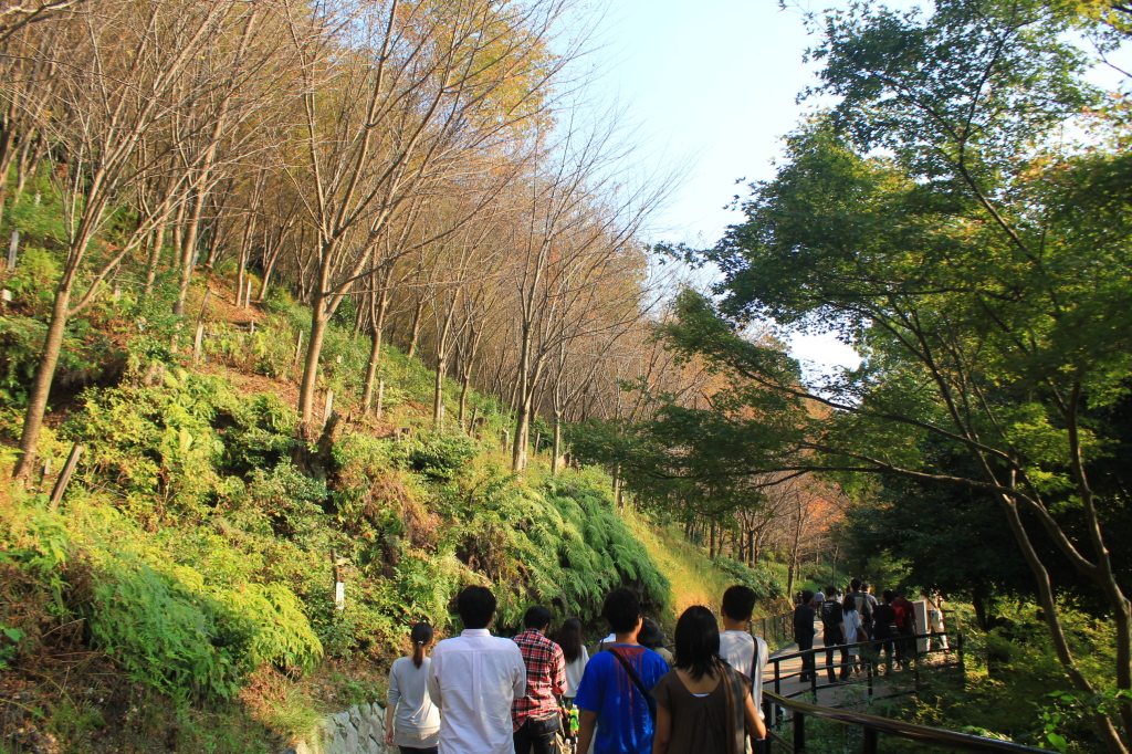 jalan mengelilingi Kiyomizu-dera
