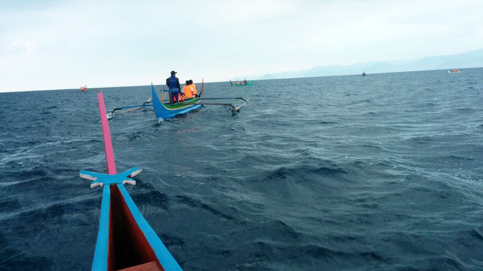 Mencari lumba-lumba di teluk kiluan